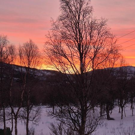 Utsikten Feriehus I Bakkeby Exteriér fotografie