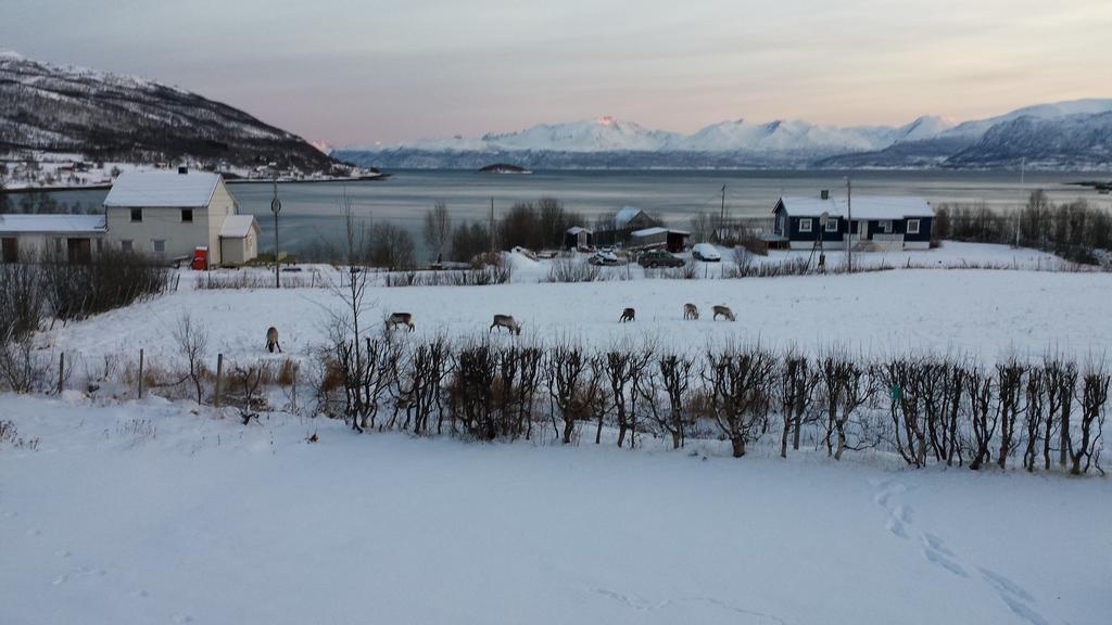 Utsikten Feriehus I Bakkeby Exteriér fotografie